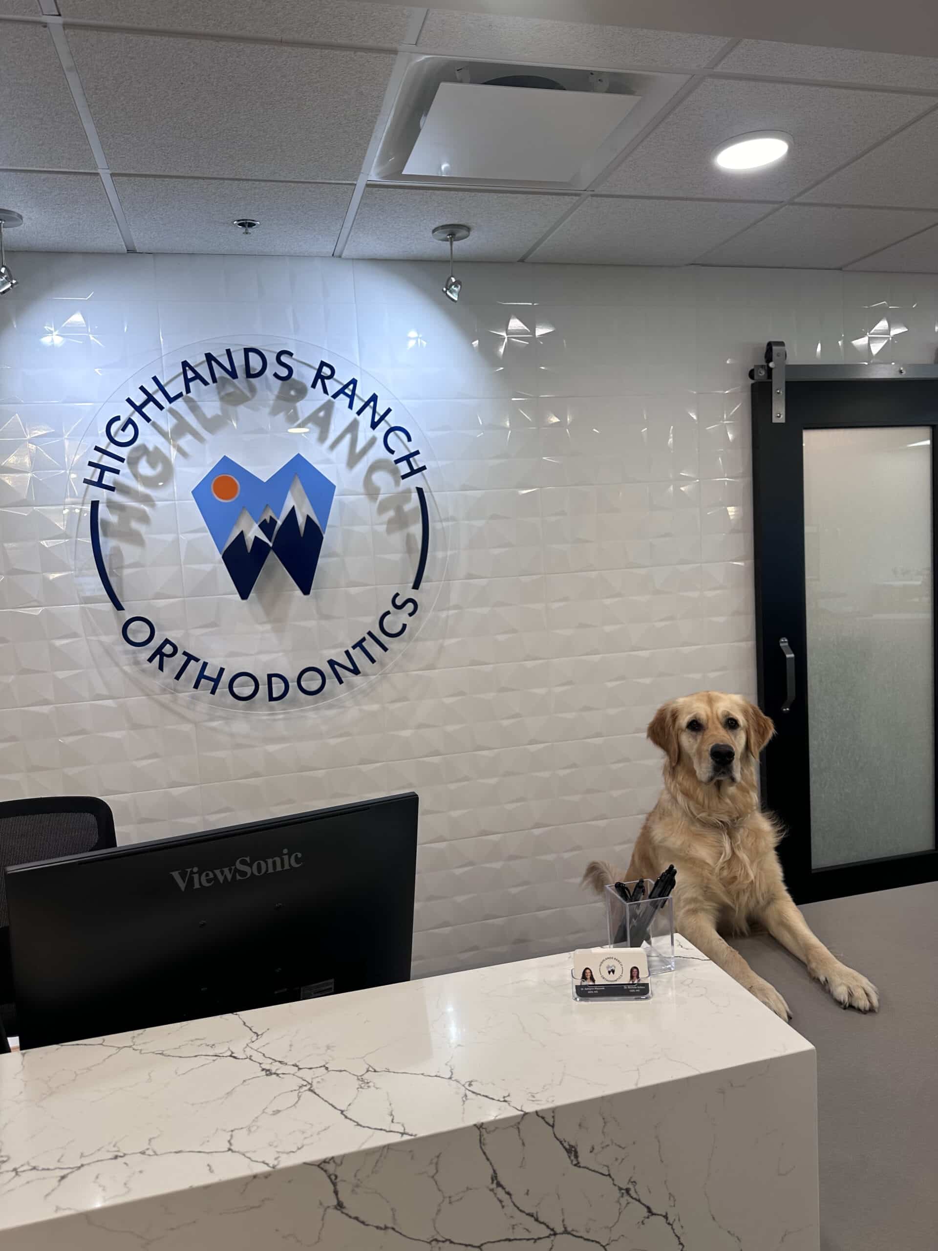 Dog at front desk Highlands Ranch Orthodontics in Littleton, CO